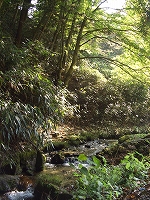 a0023043_1815161.jpg