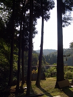 a0023043_18172431.jpg
