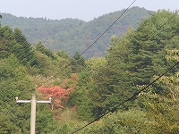 a0023043_18184972.jpg