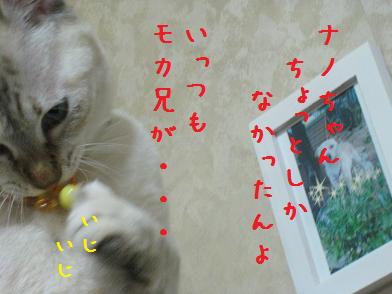 b0151748_12464336.jpg