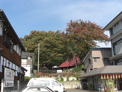 紅葉の始まった毘沙門様_a0084753_9541159.jpg