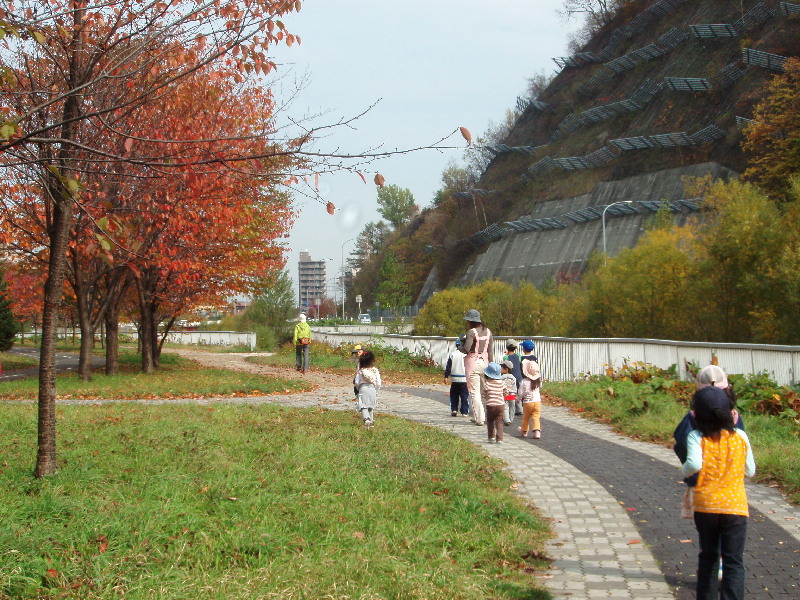 文化祭と散歩_f0074956_13114779.jpg