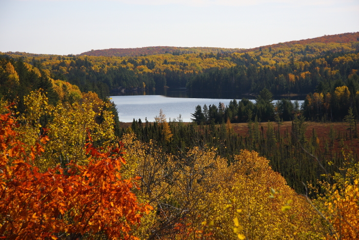 Chapt. Ⅱ  \"Algonquin Provincial Park\"_c0112158_2553348.jpg