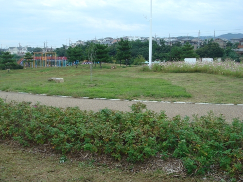c0108460_1462988.jpg