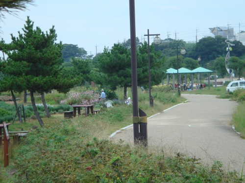 c0108460_1465619.jpg
