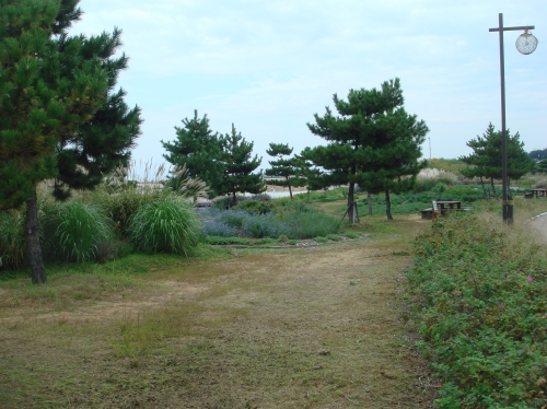 c0108460_1475367.jpg