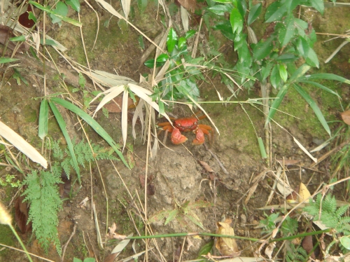 c0108460_1484263.jpg