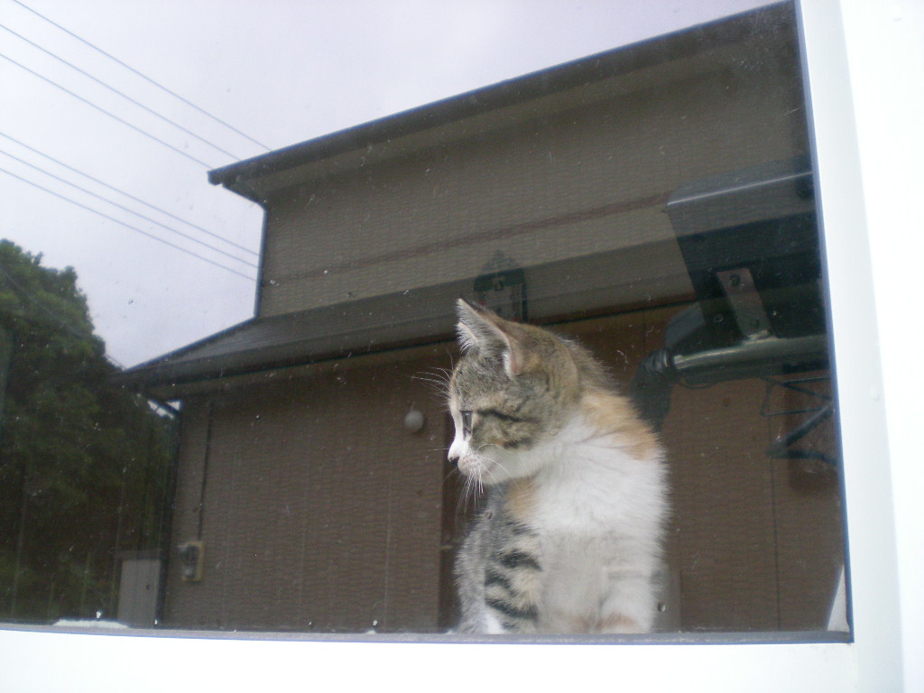 2008年10月17日(金)心ちゃんのセクシーショット!_f0060461_15163884.jpg