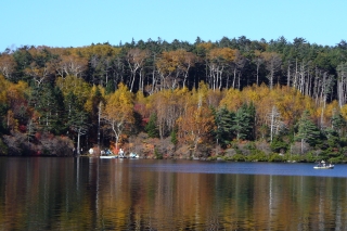 f0059671_227563.jpg