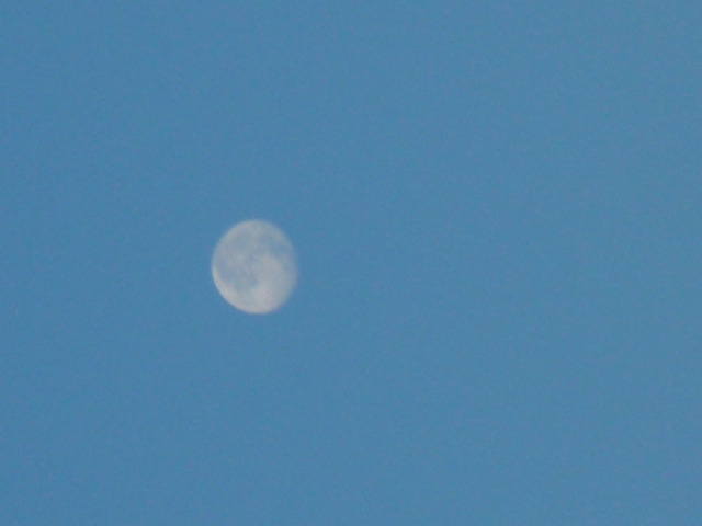 b0157276_13315227.jpg