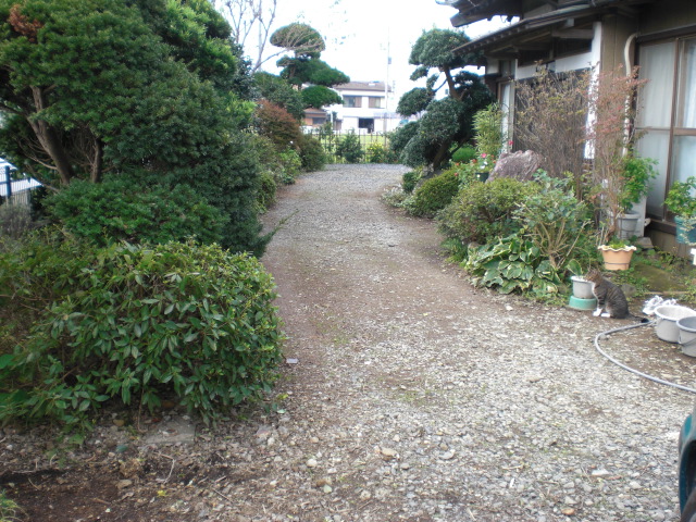 b0157276_1351217.jpg