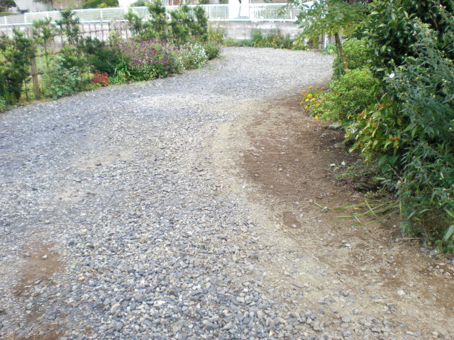 b0157276_13514326.jpg