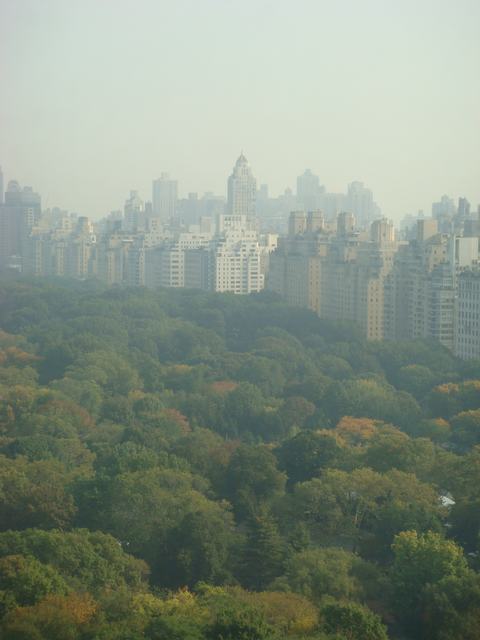 d0100880_9131394.jpg