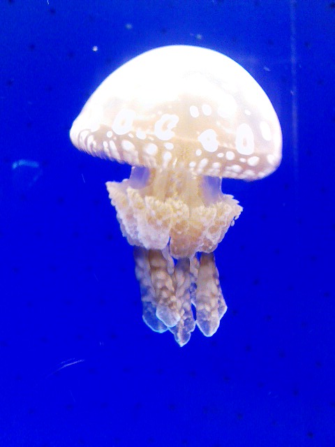 f0016783_048740.jpg