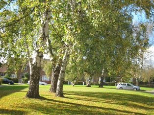 f0141785_03581.jpg