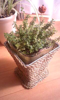 e0090304_22315037.jpg