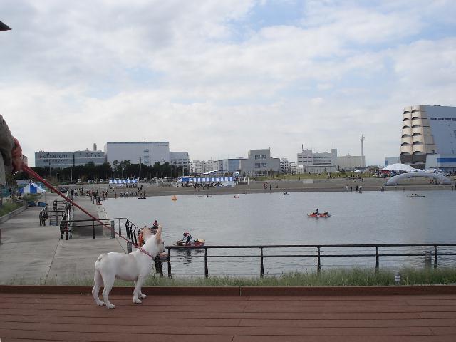 20081012東扇島東公園3_b0148106_1673989.jpg