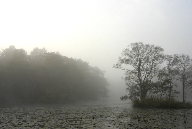 gentle autumー柔らかな秋ー。_c0170208_7443513.jpg