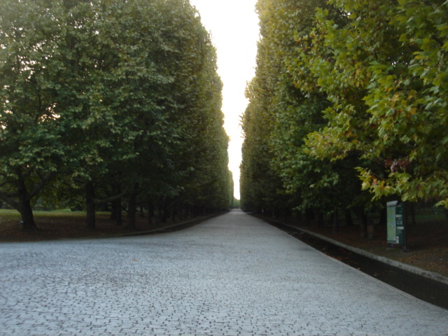 c0124512_21354897.jpg
