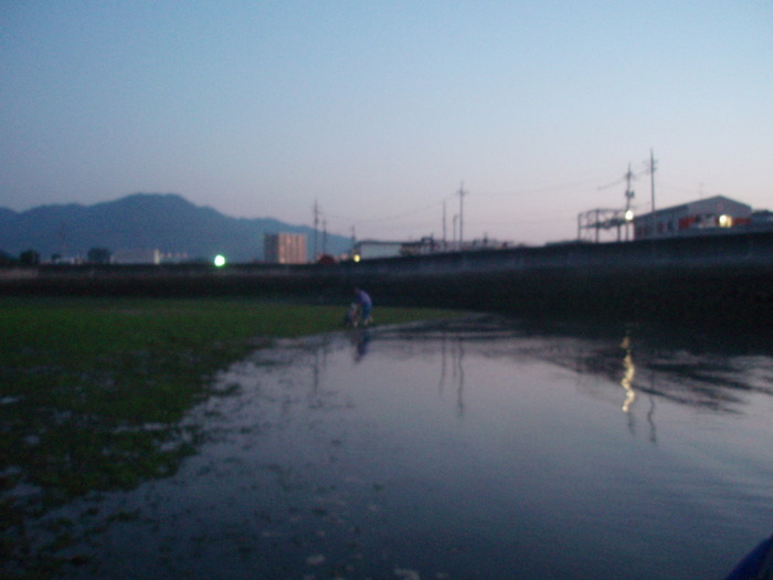 宮島沖で釣り_c0116915_2329133.jpg