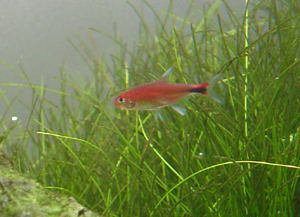 d0151521_03197.jpg