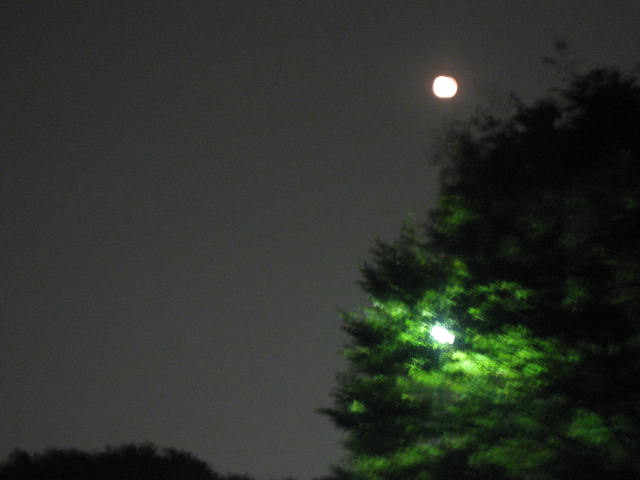 c0049825_2413249.jpg