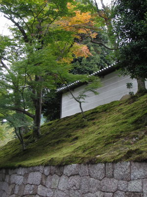 f0054428_09486.jpg