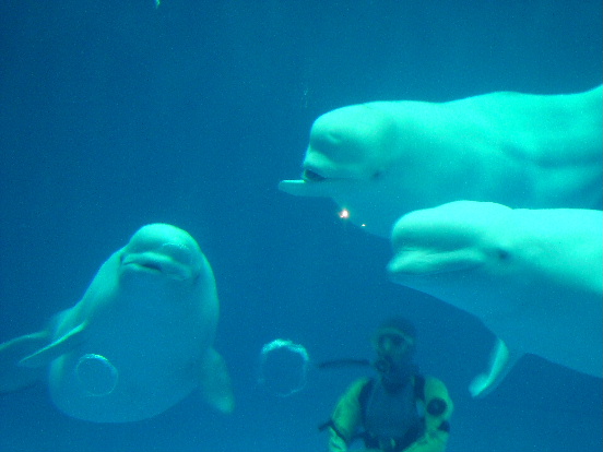 e0060041_22574677.jpg