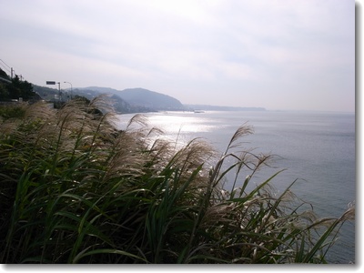 朝の海_c0147448_1610124.jpg