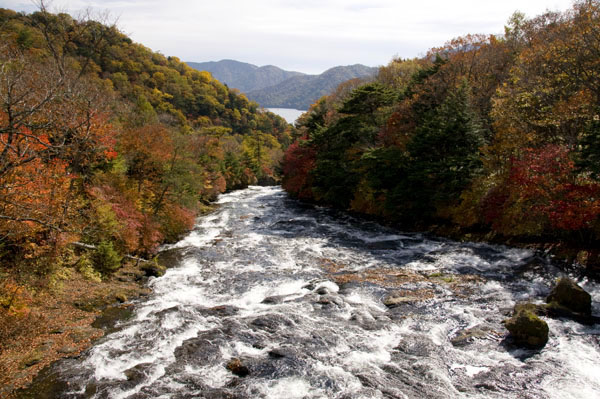 いよいよ紅葉のシーズンです・・・栃木県日光市_f0089349_7202344.jpg