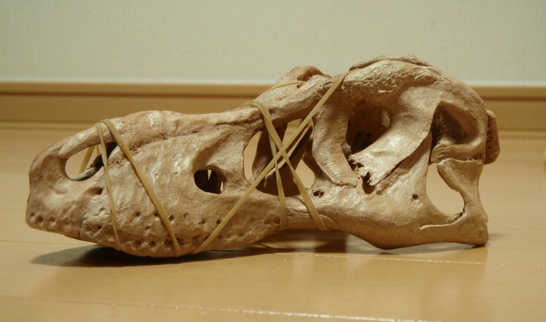 e0064457_110355.jpg