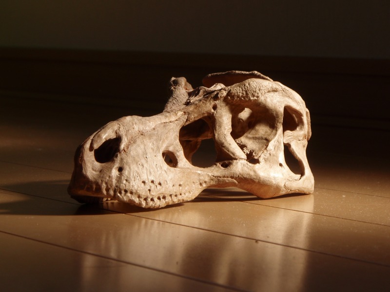 e0064457_2321359.jpg
