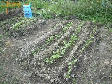 c0017259_1440062.jpg