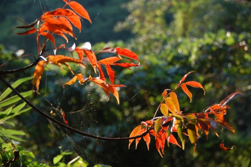 c0108460_22255280.jpg