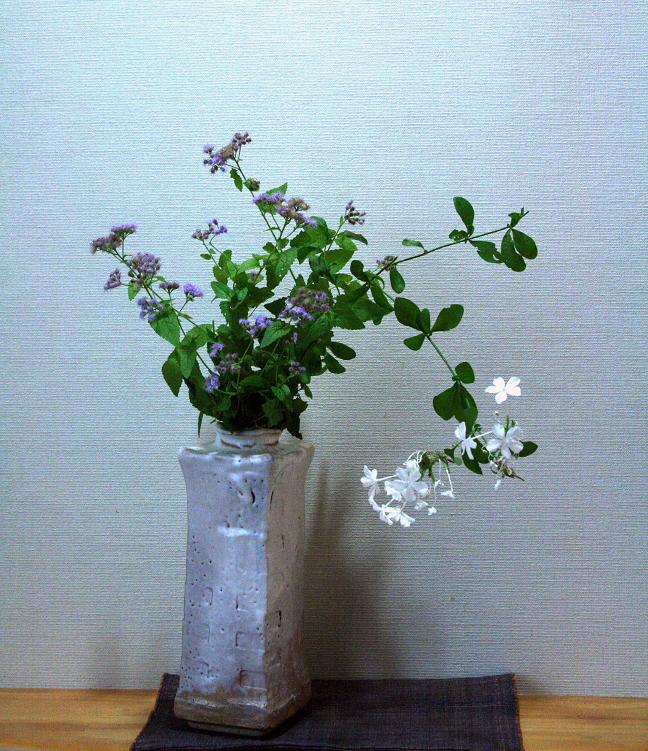 花のたましい 金子みすずを想う_a0107574_8385614.jpg