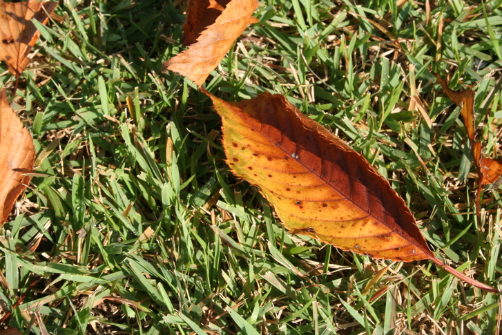 e0055980_20393949.jpg
