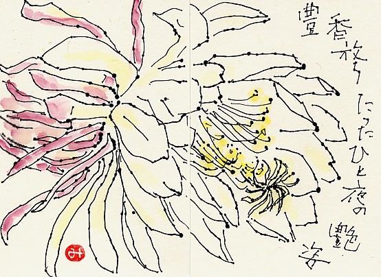 月下美人 絵手紙の小窓
