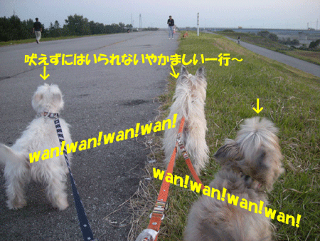 e0066883_21551177.gif