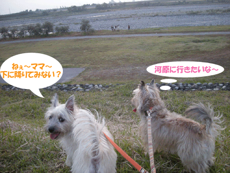 e0066883_21565673.gif