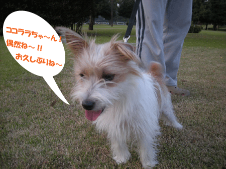e0066883_2211196.gif