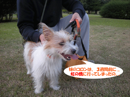e0066883_22151260.gif