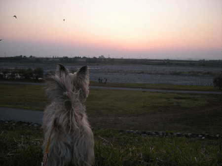 e0066883_2222407.gif