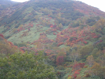 紅葉狩り～栃木その①那須高原－茶臼岳－～_c0035297_12565735.jpg