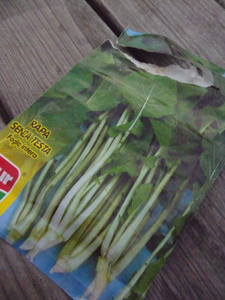 10月の畑~秋冬の便利野菜_f0106597_2052195.jpg