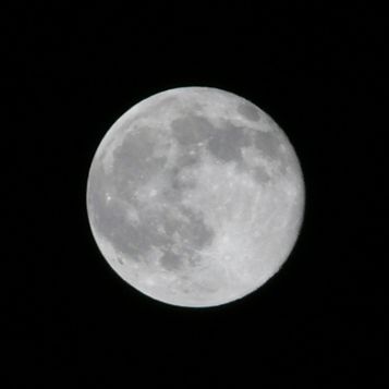 a0079098_012118.jpg
