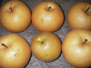 c0164605_17158.jpg
