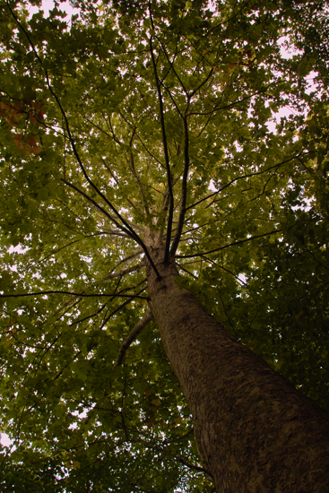 b0137311_23312164.jpg