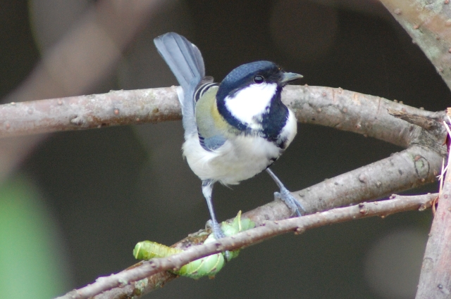 c0143411_2226928.jpg