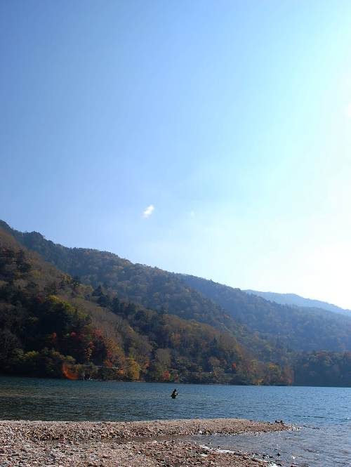 晩秋の丸沼_c0177814_11392490.jpg
