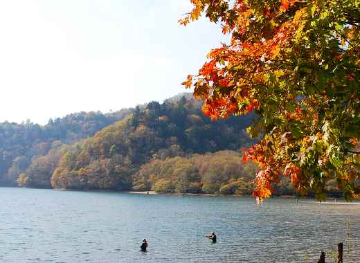 晩秋の丸沼_c0177814_11402722.jpg